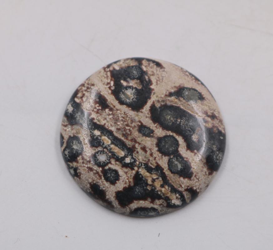 Leopar Desen Jasper Kaboşon