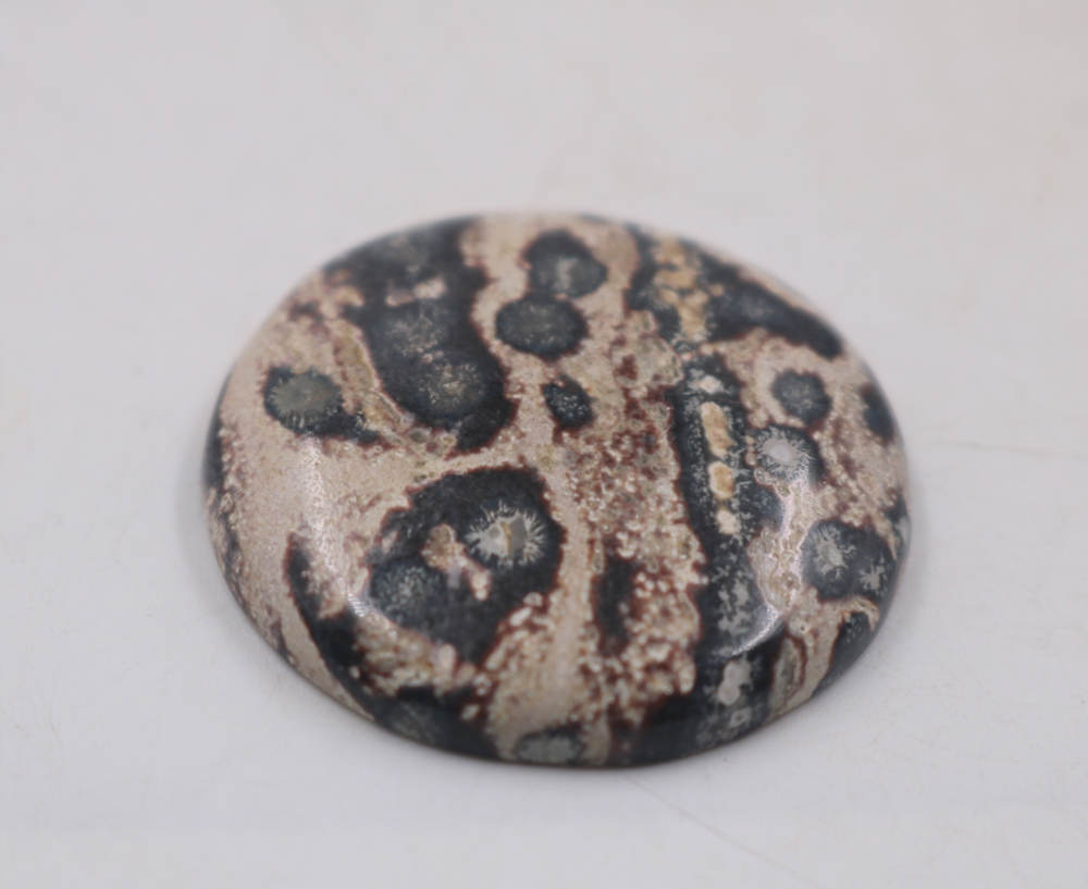 Leopar Desen Jasper Kaboşon