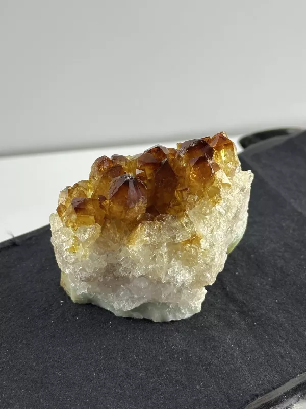 Brezilya Sitrini