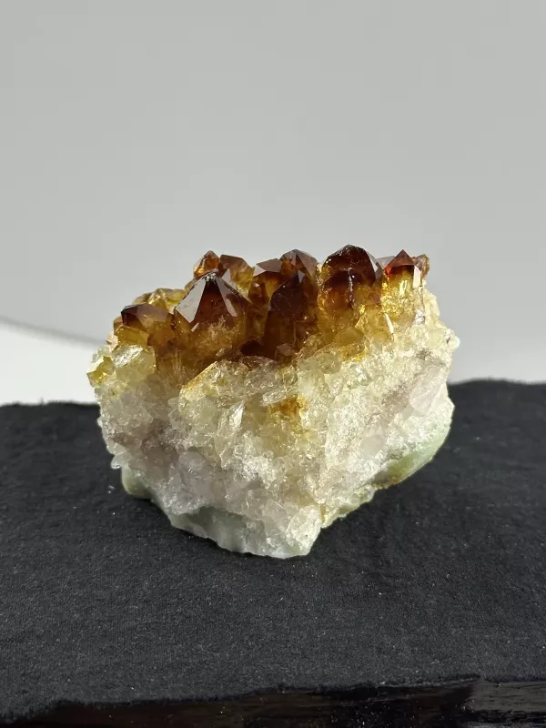Brezilya Sitrini