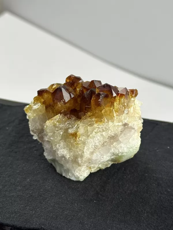 Brezilya Sitrini