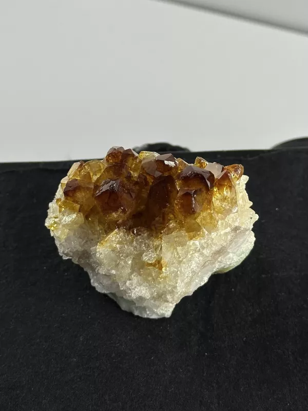 Brezilya Sitrini