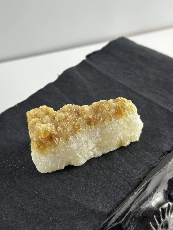 Brezilya Sitrini