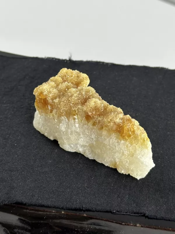 Brezilya Sitrini