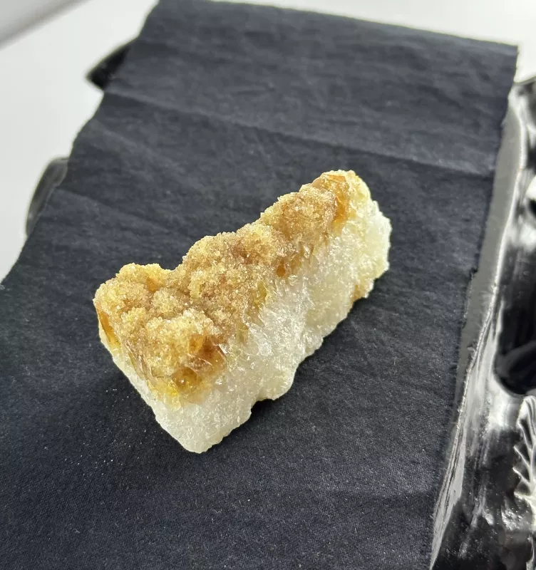 Brezilya Sitrini