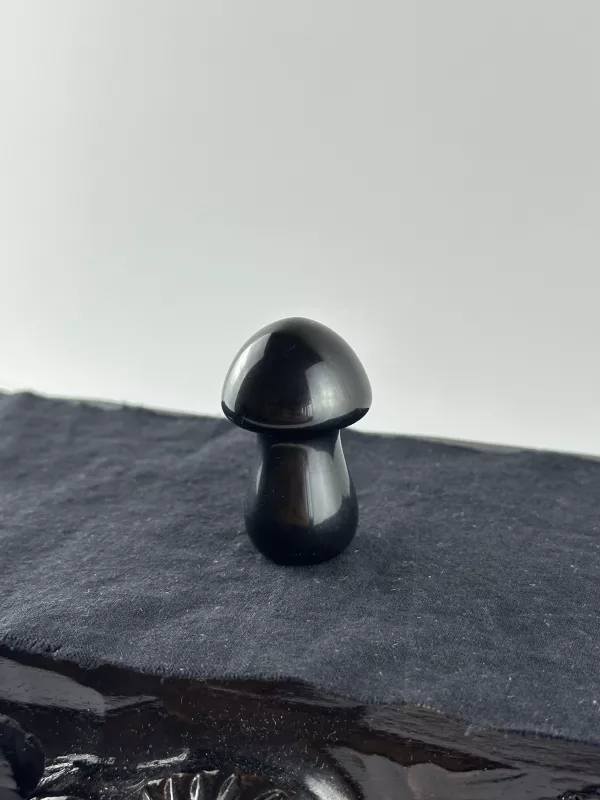 Obsidyen  Mantar