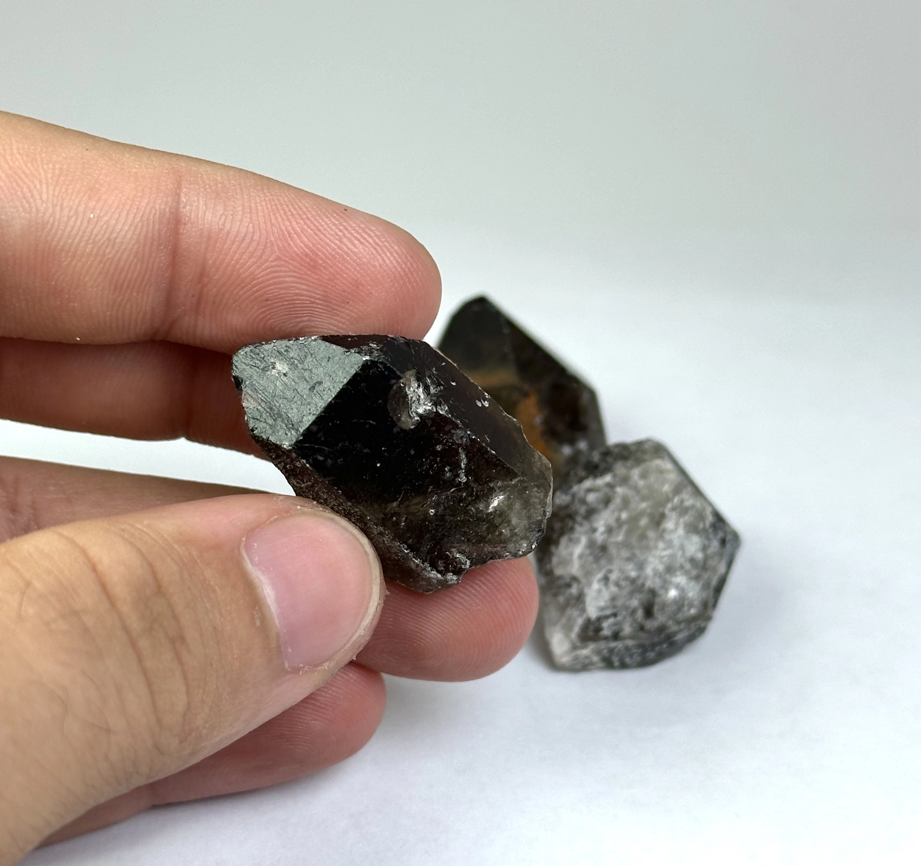 Ham Dumanlı Kuvars Diş