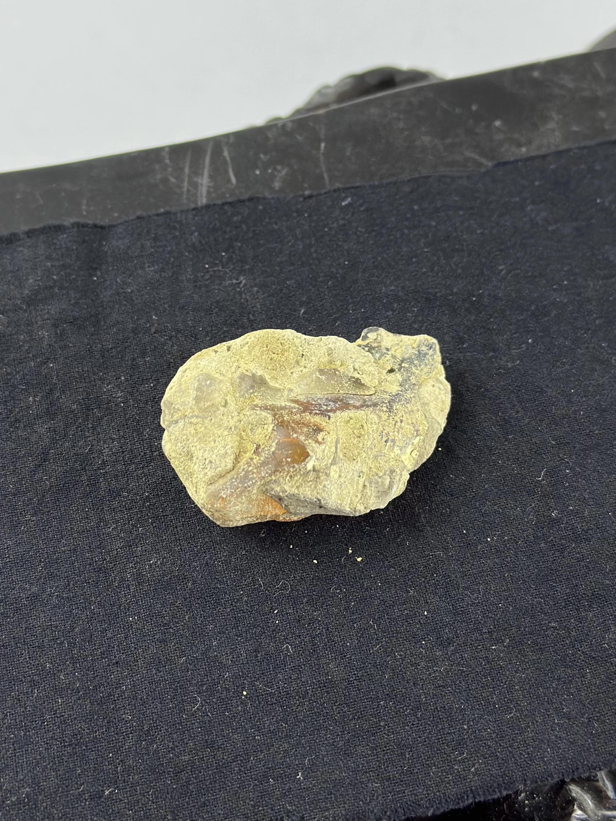 Ham Opal