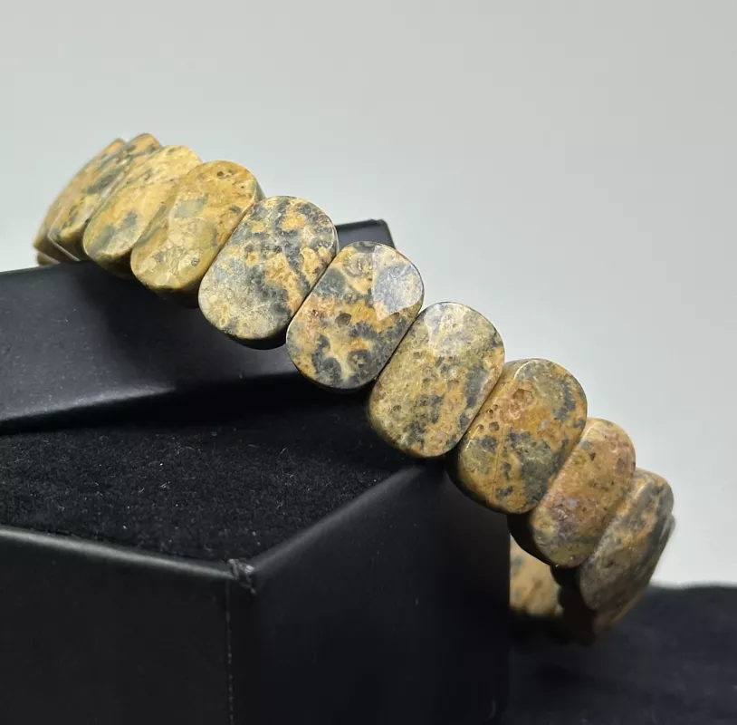 Manzara Taşı( Picture Jasper ) Roleks Bileklik