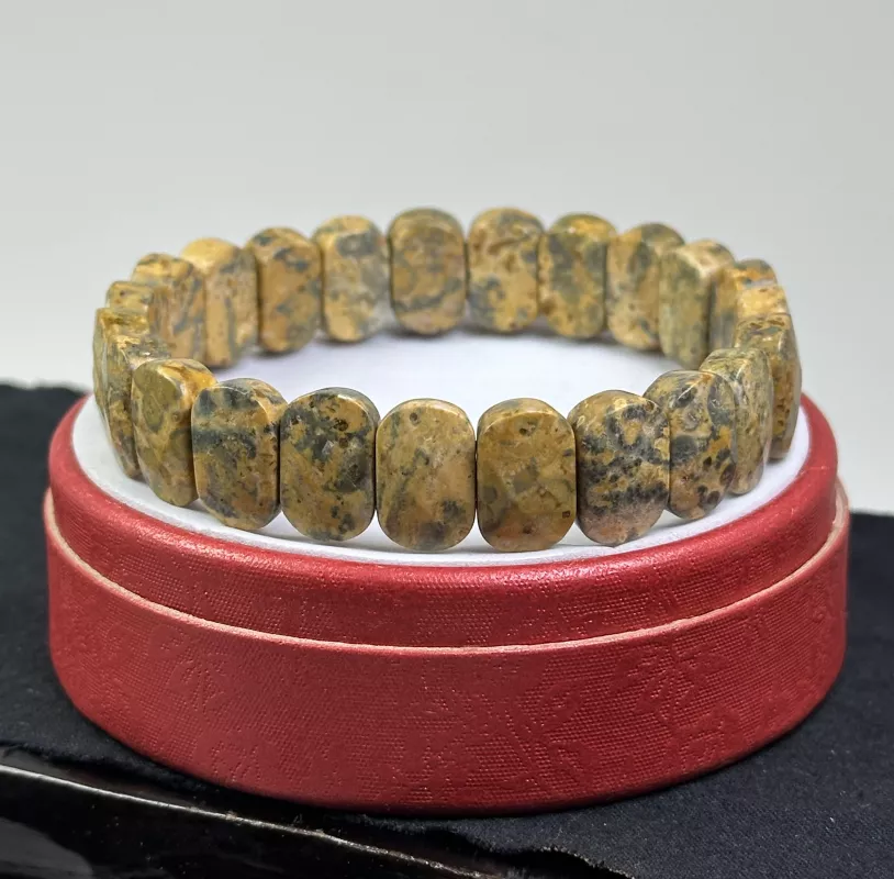 Manzara Taşı( Picture Jasper ) Roleks Bileklik