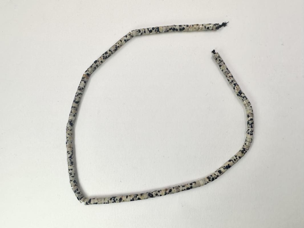 Dalmaçyalı Jasper Dizi