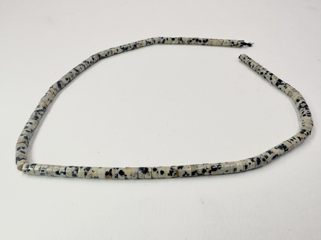 Dalmaçyalı Jasper Dizi