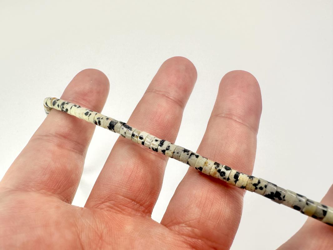 Dalmaçyalı Jasper Dizi