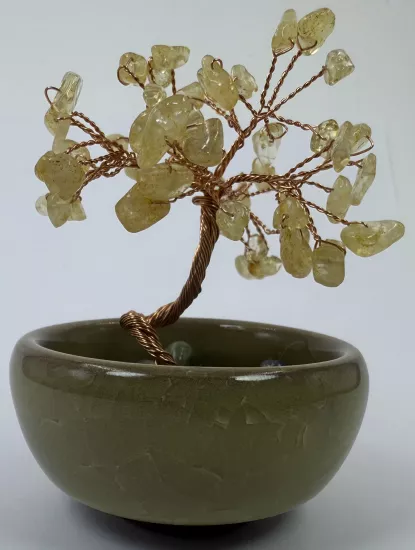 Yapraklarındaki tüm taşlar sitrindir.