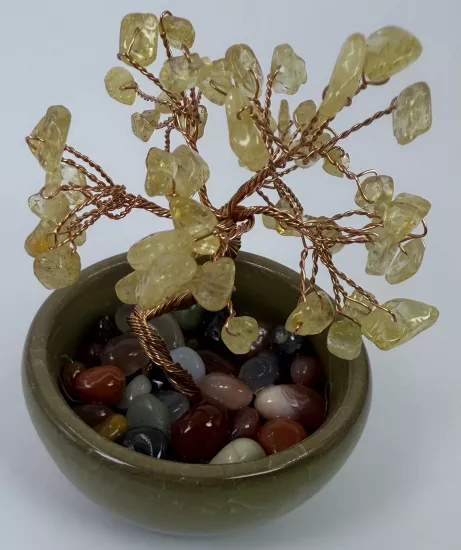 Yapraklarındaki tüm taşlar sitrindir.