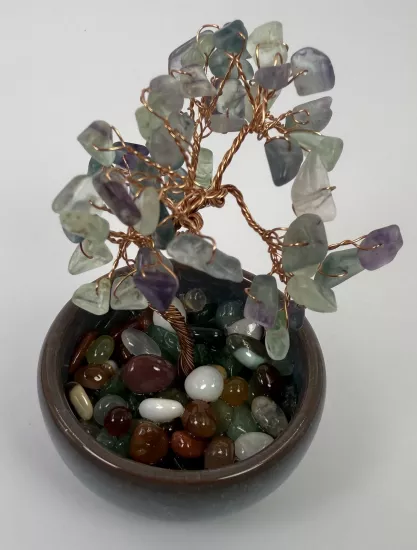 Yapraklarındaki tüm taşlar florittir.