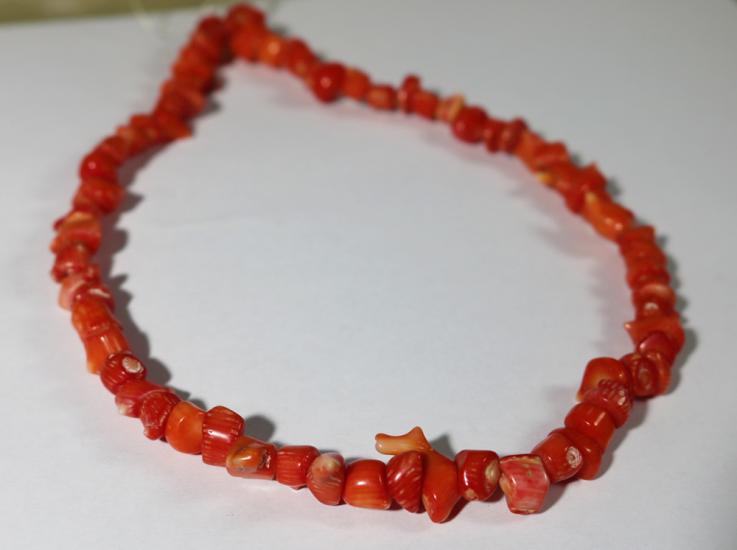 Doğal formunda mercan dizi